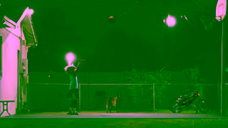 Adidas A Little Bark Goes A Long Way A Basketball Story adidas Ad Commercial Brand Imagery Photoshoot 0