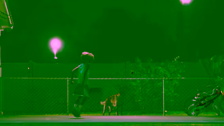 Adidas A Little Bark Goes A Long Way A Basketball Story adidas Ad Commercial Brand Imagery Photoshoot 1