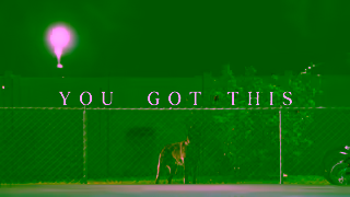 Adidas A Little Bark Goes A Long Way A Basketball Story adidas Ad Commercial Brand Imagery Photoshoot 2