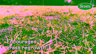 Scotts Scotts Lawn Builder Levelling Mix Fix Dog Digs and Lawn Bumps Ad Commercial Brand Imagery Photoshoot 2