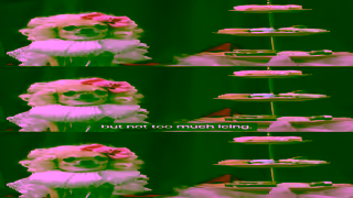 AAMI Car insurance with no frills Bingle obviously Versailles Ad Commercial Brand Imagery Photoshoot 1