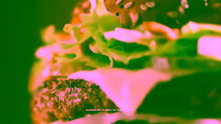 McDonalds Maccas NEW Big Arch is here Ad Commercial Brand Imagery Photoshoot 0