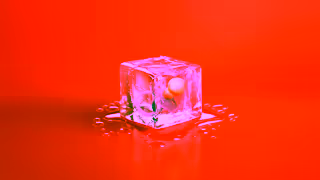 News.com.au Welcome to the truth about Health Wellbeing not the trends Ad Commercial Brand Imagery Photoshoot 1