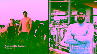 Dairy Farmers of Canada Caring for the cows Thats the Canadian Way Ad Commercial Brand Imagery Photoshoot 0