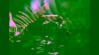 Expedia A Somewhere for Yuri A USA Road Trip Story Ad Commercial Brand Imagery Photoshoot 2