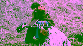 WEEKEND MaxMara Weekender at Heart FW24 Adv Campaign Ad Commercial Brand Imagery Photoshoot 2