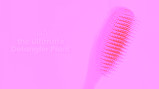 TANGLE TEEZER Amazon TUD Plant Brush Marshmallow Pink Ad Commercial Brand Imagery Photoshoot 0