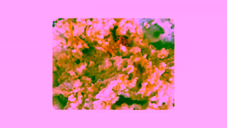 Quaker Quaker Deliciously Ugly Ad Commercial Brand Imagery Photoshoot 1