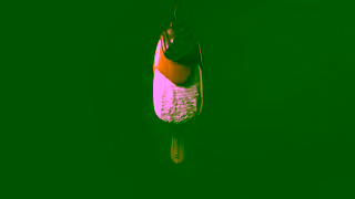 Magnum Magnum More is More 2024 Ice Cream Ad Commercial Brand Imagery Photoshoot 2