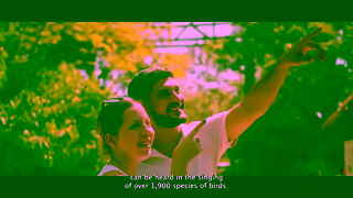Colombia Travel Listen to the singing of over 1920 species of birds in the country of beauty Ad Commercial Brand Imagery Photoshoot 1
