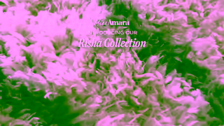 Miss Amara RISHA Collection Miss Amara AU NZ HK Ad Commercial Brand Imagery Photoshoot 0