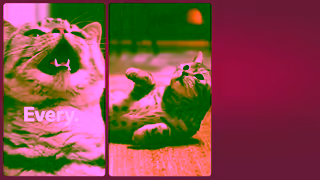 Whiskas WHISKAS 0373 Product Detail Page EN Ad Commercial Brand Imagery Photoshoot 0