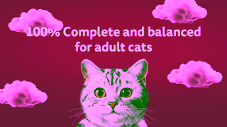 Whiskas WHISKAS 0373 Product Detail Page EN Ad Commercial Brand Imagery Photoshoot 1