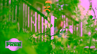 Yates Yates Zero Triple Strike Youtube ad Ad Commercial Brand Imagery Photoshoot 0