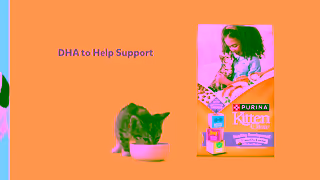 Purina Nourish the now Ad Commercial Brand Imagery Photoshoot 1