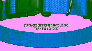 Fi Dogs Fi YouTube HSN Originals 15s May 2024 Ad Commercial Brand Imagery Photoshoot 2