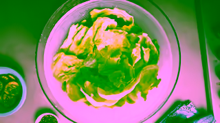 Australian Beef Youre Thinking Beef Burger Ad Commercial Brand Imagery Photoshoot 0