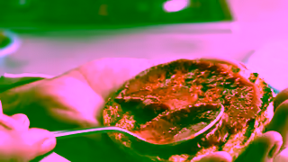 Australian Beef Youre Thinking Beef Burger Ad Commercial Brand Imagery Photoshoot 1