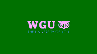 Western Governors University 23 1697440 VP FY24 Q1 UF COB They Said Accounting Respected Digital Video 30sec 1920x1080 V3 Ad Commercial Brand Imagery Photoshoot 2