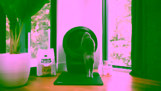 LitterRobot Who Invented the Automatic Litter Box Brad Baxter LitterRobot Founders Story Ad Commercial Brand Imagery Photoshoot 2