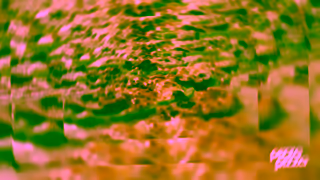 Pizza Pizza Vladdys Big Deal Ad Commercial Brand Imagery Photoshoot 2