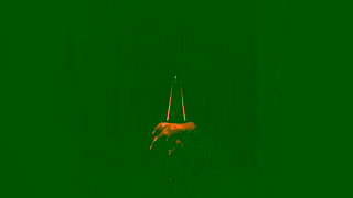 Bang & Olufsen Gifting 2024 BS 2 Motion EN 1920x10800124 CLEAN Ad Commercial Brand Imagery Photoshoot 0