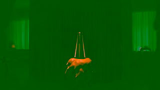 Bang & Olufsen Gifting 2024 BS 2 Motion EN 1920x10800124 CLEAN Ad Commercial Brand Imagery Photoshoot 1