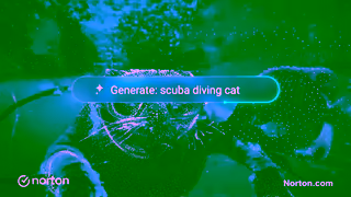 Norton Norton 360 with Genie AI powered scam protection Ad Commercial Brand Imagery Photoshoot 0