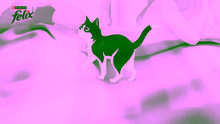 Purina Unwrap the Irresistibly tasty Recipe today Ad Commercial Brand Imagery Photoshoot 0