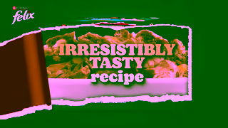 Purina Unwrap the Irresistibly tasty Recipe today Ad Commercial Brand Imagery Photoshoot 2