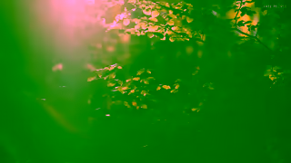 FREE PEOPLE This Is Free People Spring 2024 Ad Commercial Brand Imagery Photoshoot 1