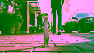 Geico VIP LowKey Big Deal GEICO Ad Commercial Brand Imagery Photoshoot 0