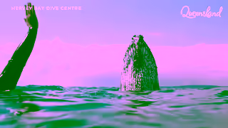 Queensland.com That Holiday Feeling 15C WW Ad Commercial Brand Imagery Photoshoot 1