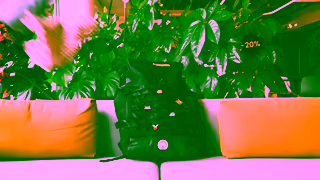 Eurail ER AU EN Display DO All Video 16x9 Septemberpromo v4 Ad Commercial Brand Imagery Photoshoot 0