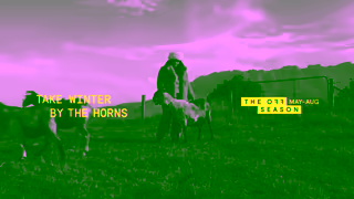 Discover Tasmania Paradise Road Farm Discover Tasmania Ad Commercial Brand Imagery Photoshoot 1