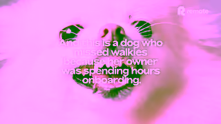 Remote.com Remote Contractor Management to the Rescue Ad Commercial Brand Imagery Photoshoot 1