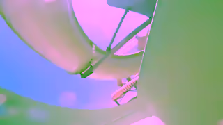 Paloma Hotels Palomaqua Ad Commercial Brand Imagery Photoshoot 1