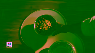 Hill's Because Youre Only Human Theres Hills Ad Commercial Brand Imagery Photoshoot 2