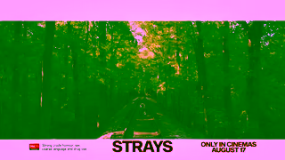 Universal Pictures Strays August 17 Ad Commercial Brand Imagery Photoshoot 0