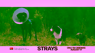 Universal Pictures Strays August 17 Ad Commercial Brand Imagery Photoshoot 1
