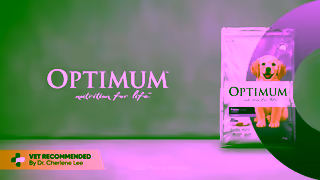 Optimum Pet OPTIMUM Lucky You Do Puppy 16x9 15s 2025 Ad Commercial Brand Imagery Photoshoot 2