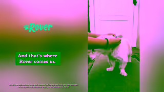 Rover.com Paid US Paid UGC Vivian Dog Walking Horizontal 30s Ad Commercial Brand Imagery Photoshoot 0