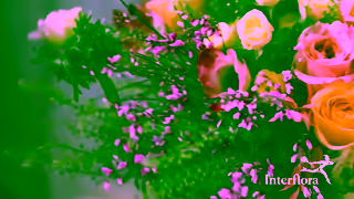 Interflora Interflora Say More Ad Commercial Brand Imagery Photoshoot 0