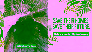 WWF Make A TaxDeductible Donation WWFAustralia Ad Commercial Brand Imagery Photoshoot 1