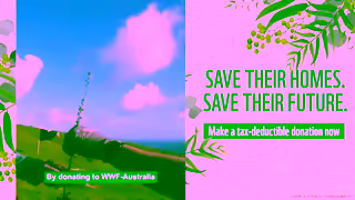 WWF Make A TaxDeductible Donation WWFAustralia Ad Commercial Brand Imagery Photoshoot 2