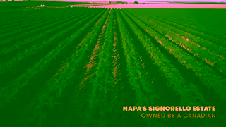 Visit California See Us Soon Canada Ad Commercial Brand Imagery Photoshoot 0