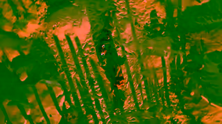 Tinder Summer Fling It Starts with a Swipe Ad Commercial Brand Imagery Photoshoot 0