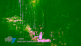 Visit Japan DREAM YOUR CONNECTED JOURNEY TOKYO SAITAMA CHIBA KANAGAWA YAMANASHI 30sec Ad Commercial Brand Imagery Photoshoot 2