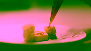 Square Square helps Reynold Poernomo focus on creations for KOI Dessert Bar Ad Commercial Brand Imagery Photoshoot 1