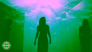 DermaVeen DermaVeen Body 2025 15 seconds Ad Commercial Brand Imagery Photoshoot 1